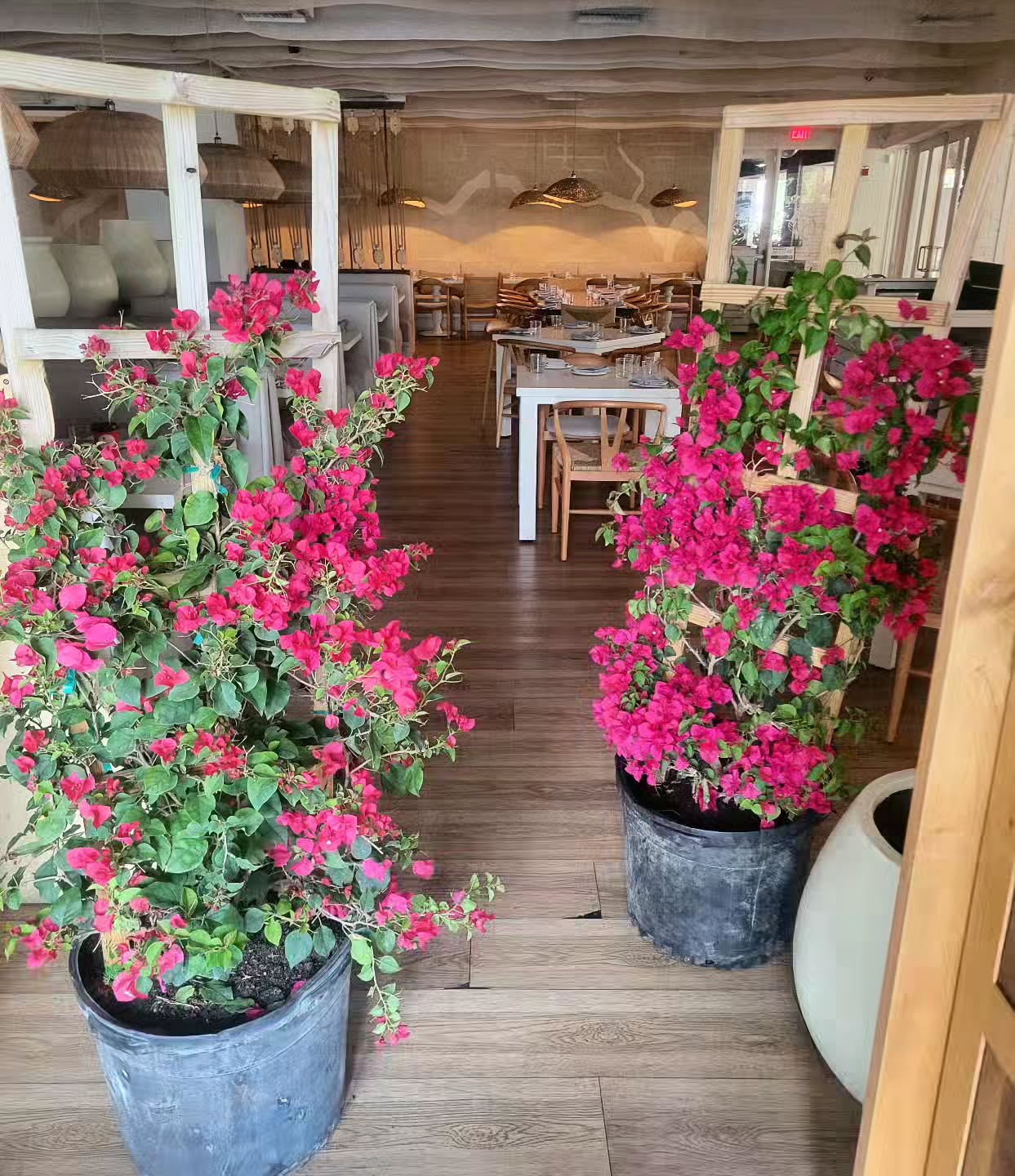 Bougainvillea styling in restaurant