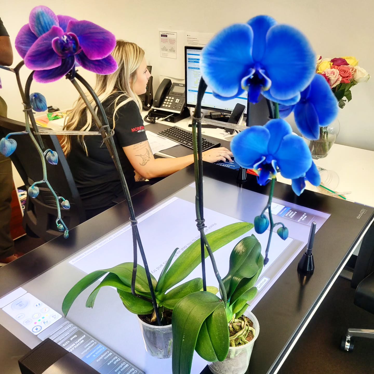Blue and purple orchids on office desk