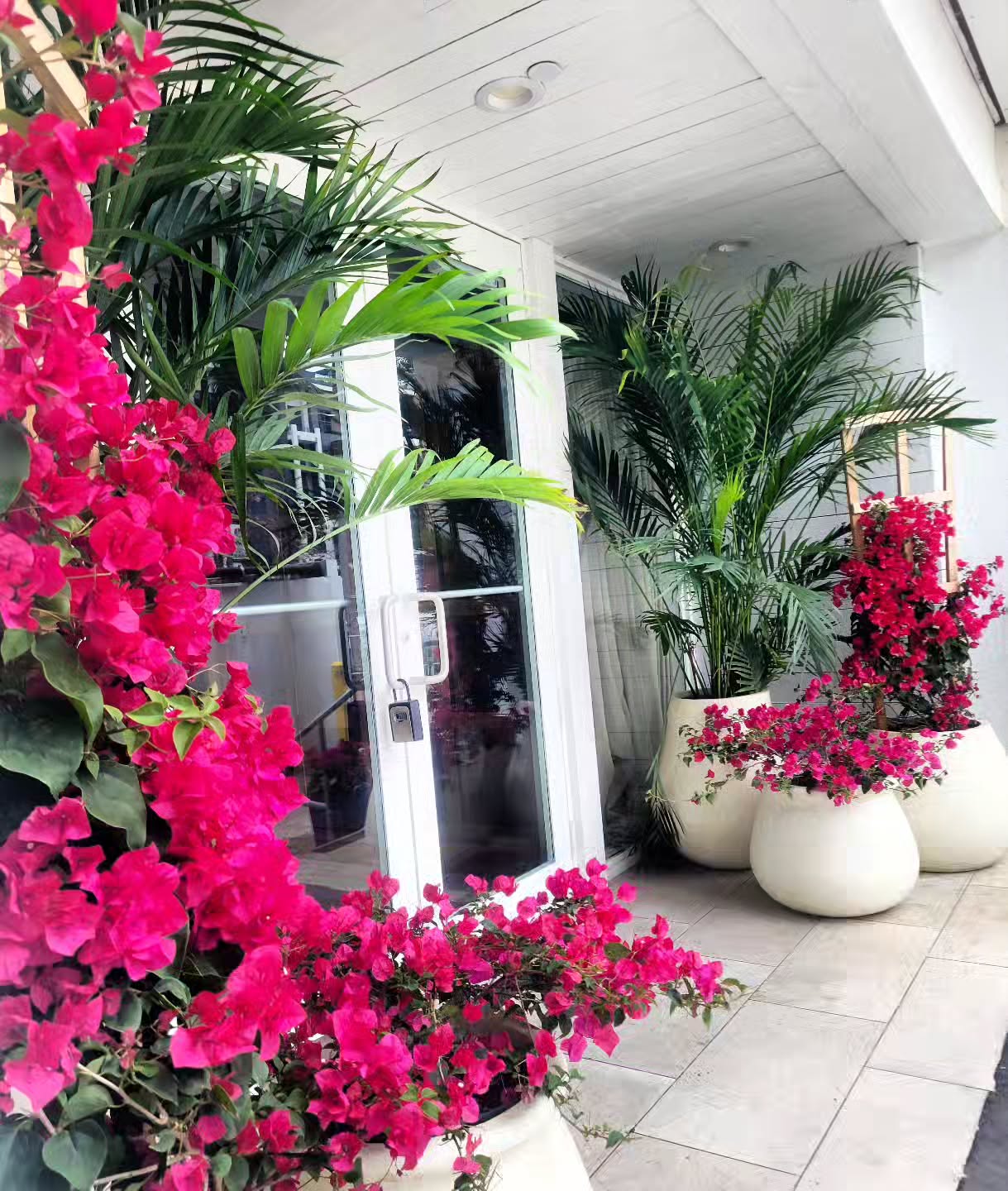Tropical entrance design with bougainvillea and palms