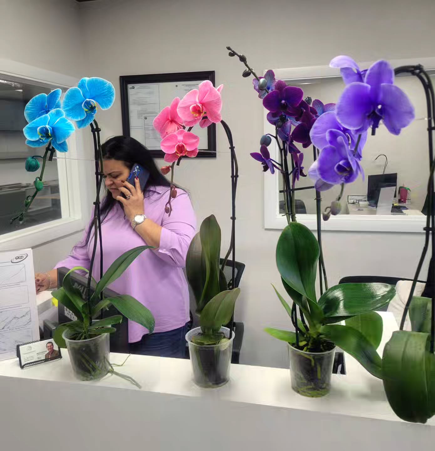 Colorful orchids brightening an office reception
