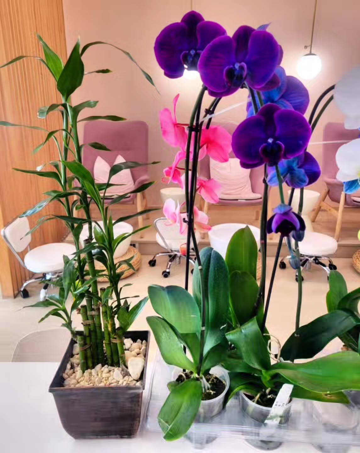 Purple orchids and bamboo arrangement